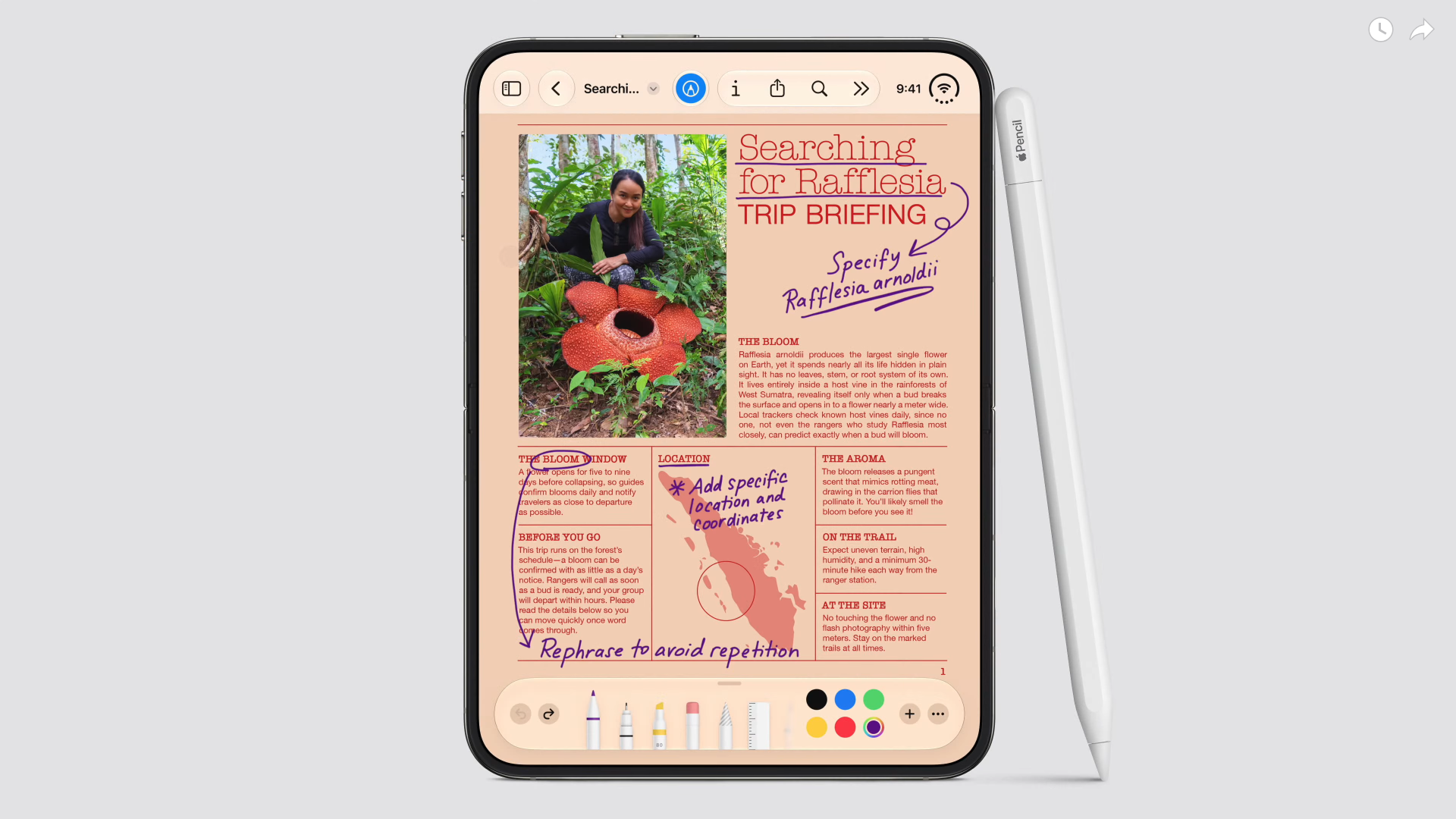 Apple iPhone Duo unfolded 7.6 inch display with Apple Pencil support